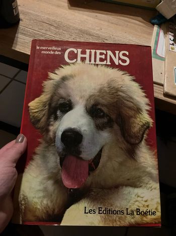 Le monde merveilleux des chiens