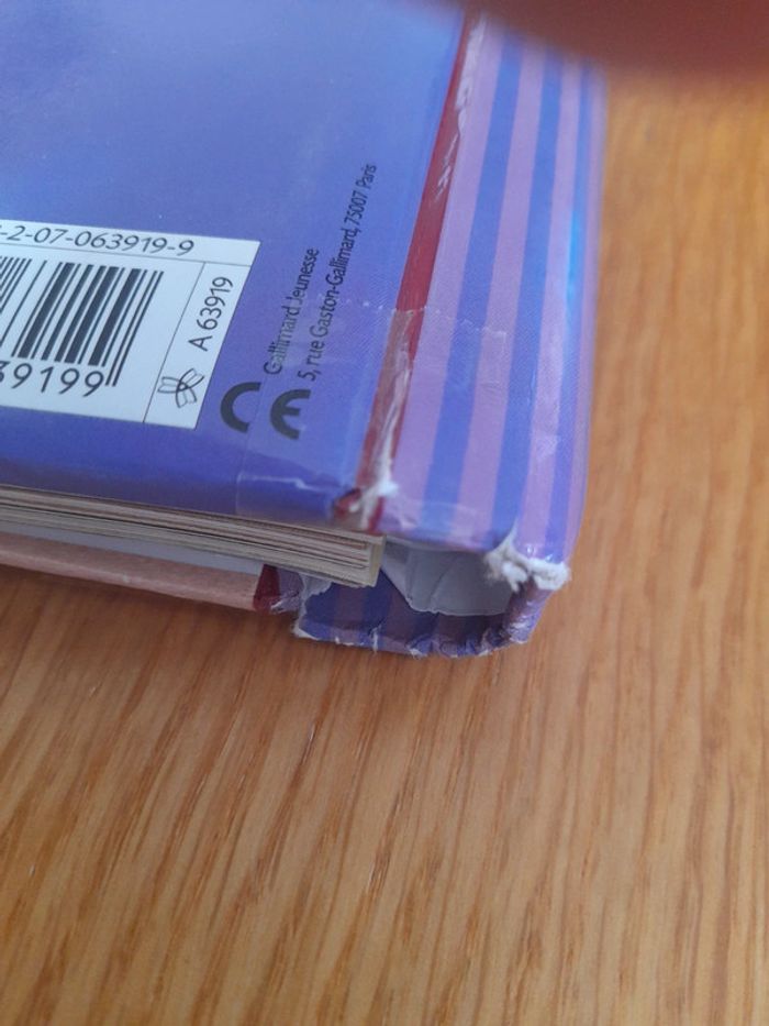 Chevaliers et Châteaux forts - photo numéro 10