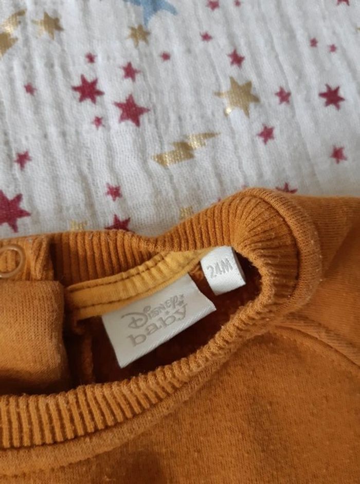 Pull chaud Winnie 24 mois Disney - photo numéro 4