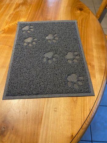 Tapis chats