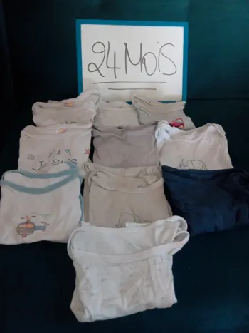 Lot 10 body manches courtes 24mois