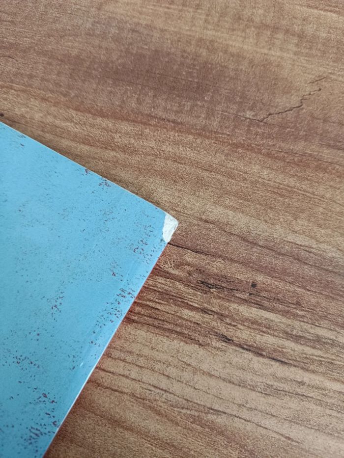 Livre Moi, je boude - photo numéro 6