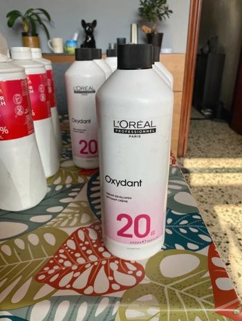 l’oreal professionnel oxydant 20 10 en stock