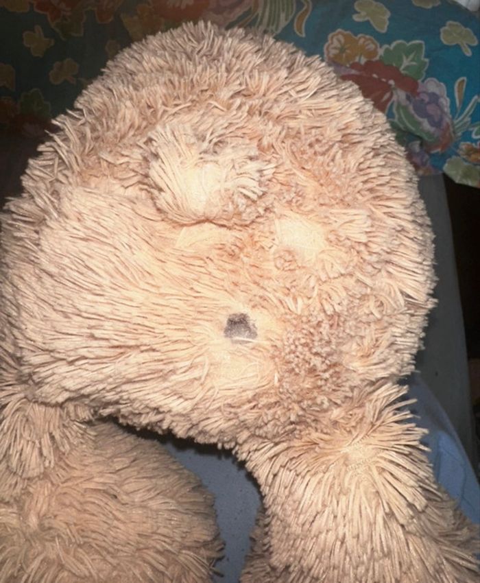 peluche - photo numéro 2