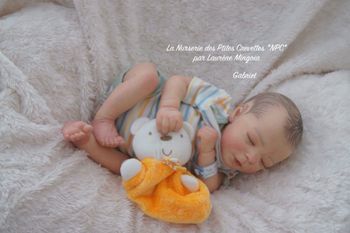 Gabriel poupée bébé Reborn authentique 🩵