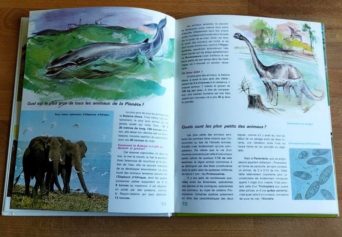 4 livres enfant nature et ses secrets Nathan - photo numéro 4