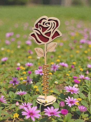 Rose relief maman/mamie