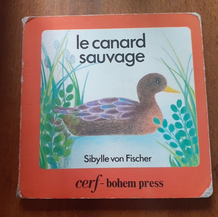 Livre enfant "Le canard sauvage"
