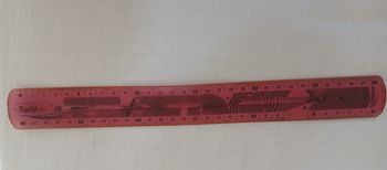 Règle souple incassable  "flex" 30 cm
