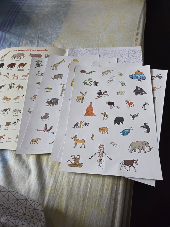 Coloriage les animaux du monde - photo numéro 2