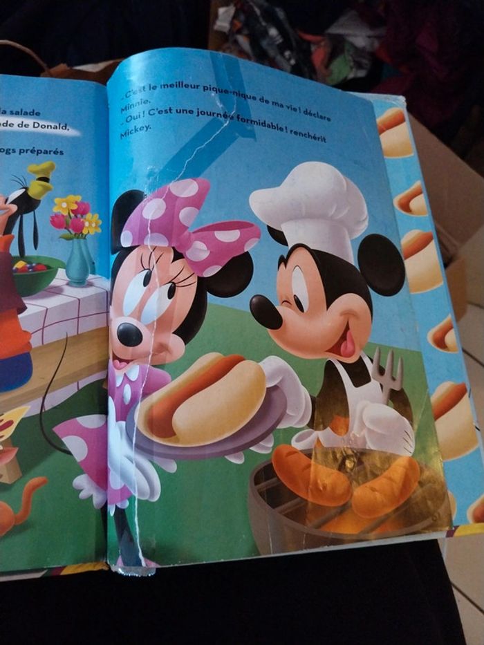 2 livres mickey - photo numéro 3