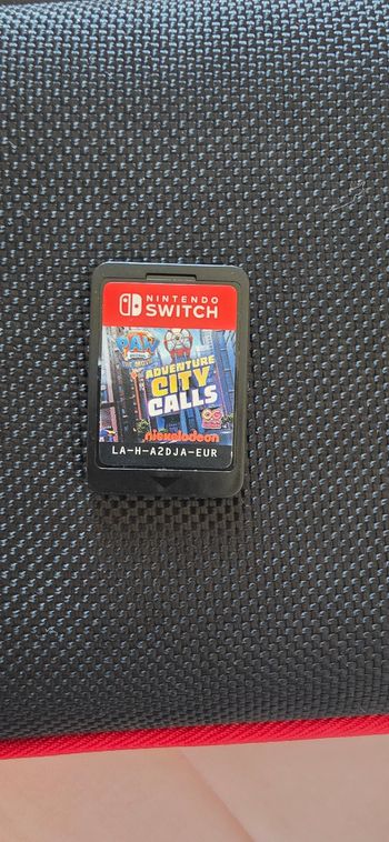 Pat patrouille city calls jeux switch