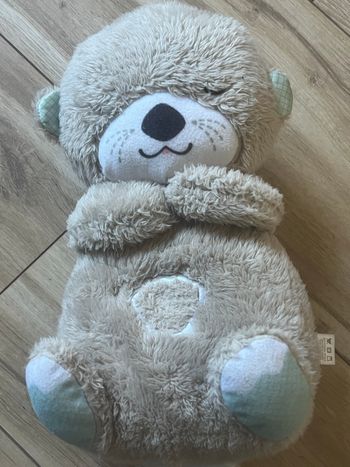 Loutre endormissement 
