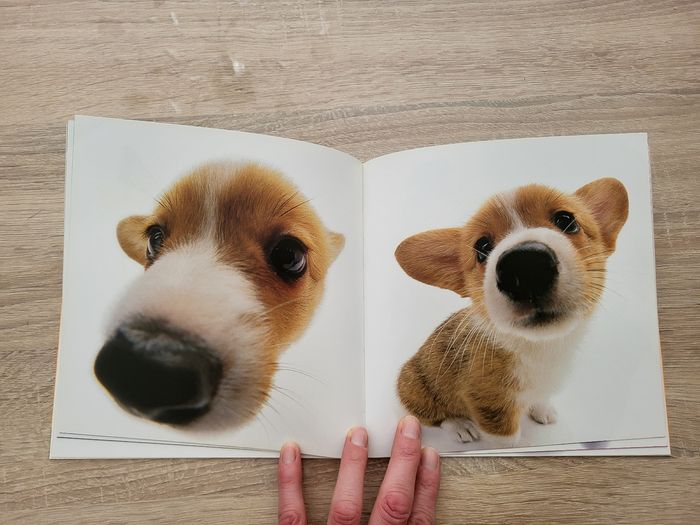 Livre des grosses truffes - photo numéro 3