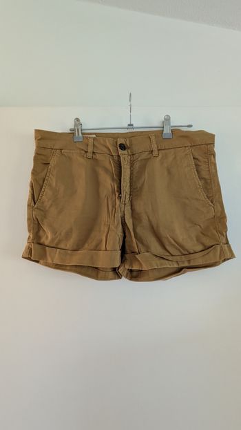 Short camel Franklin Marshall