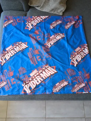 Taie d'oreiller ou housse de coussin spiderman