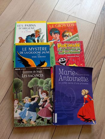 Lot de livres enfants