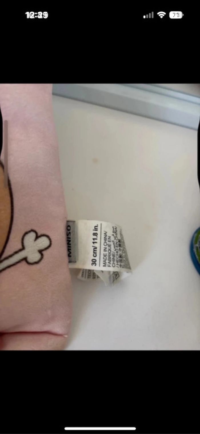 Coussin peluche Miniso - photo numéro 3