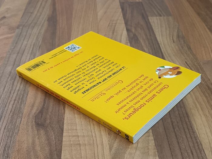 Livre Géronimo Stilton - Le mystère des 7 matriochkas - photo numéro 9