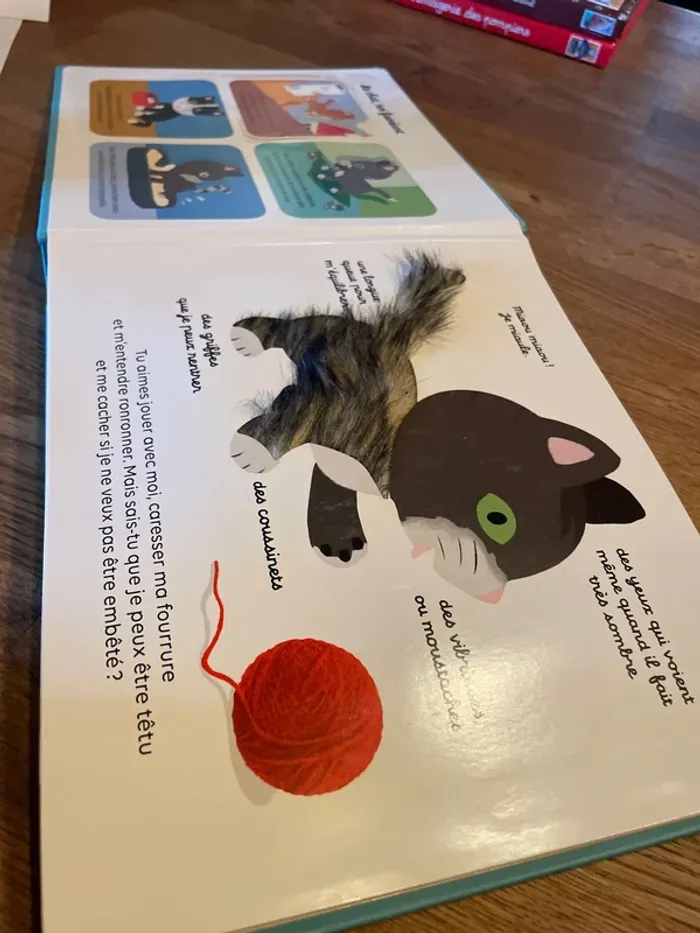 Livre cartonné Mes docs à toucher Les animaux familiers - photo numéro 8