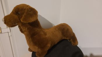 Teckel en peluche chien marron