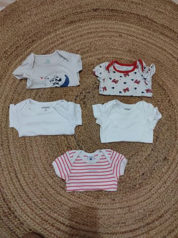 Lot de 5 bodys MC 18 mois