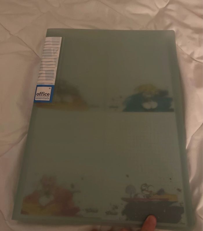 Porte-vue 100 feuilles Diddl 🐭💚 - photo numéro 9