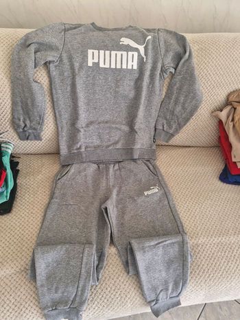 Jogging puma 