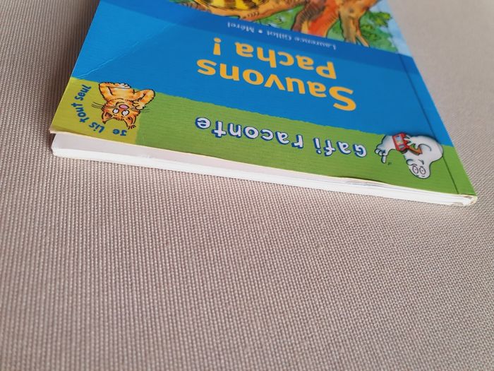 Livre enfant (Gafi raconte) - photo numéro 7