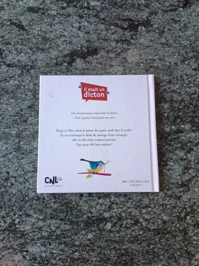 Petit à petit, l'oiseau fait son nid - photo numéro 2