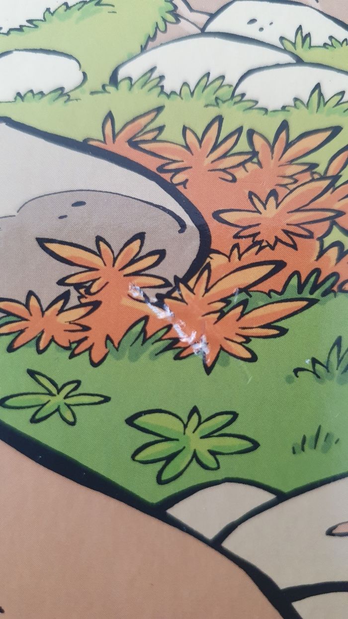 Les petits mythos Tome 1 Foudre à gratter - photo numéro 3