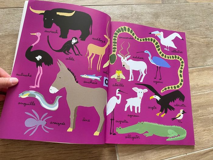 Livre animaux Soledad bravi - photo numéro 3