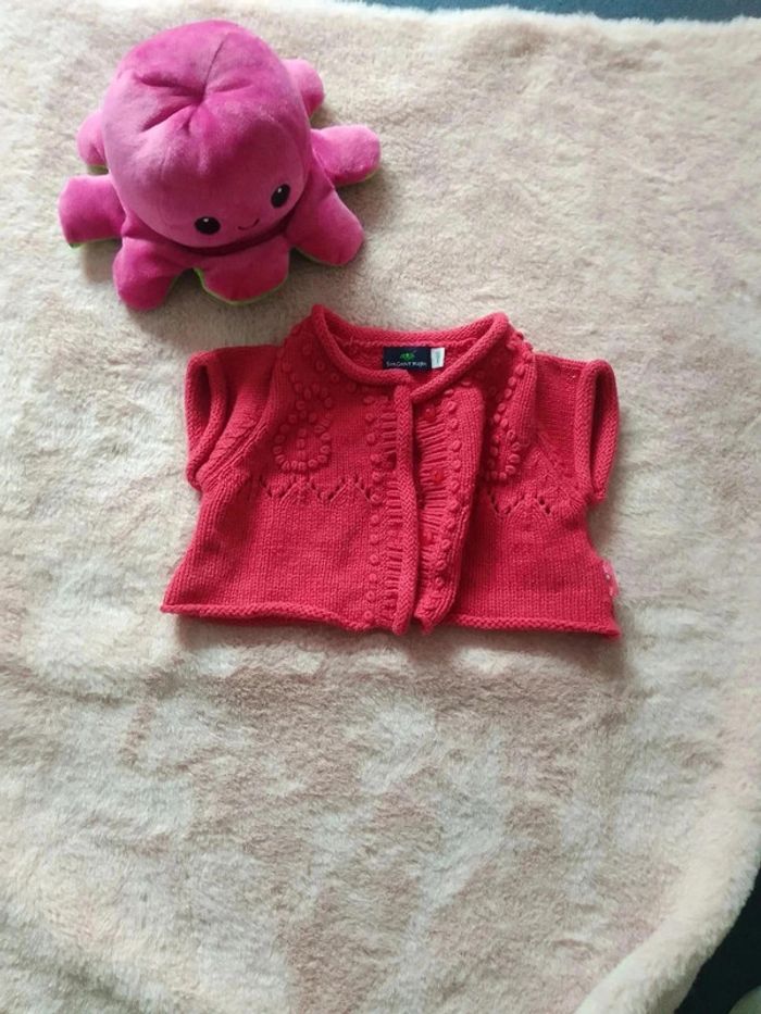 Gilet et robe 1 mois - photo numéro 2