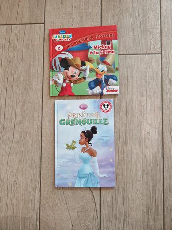Lot de 2 livres pour enfants Disney