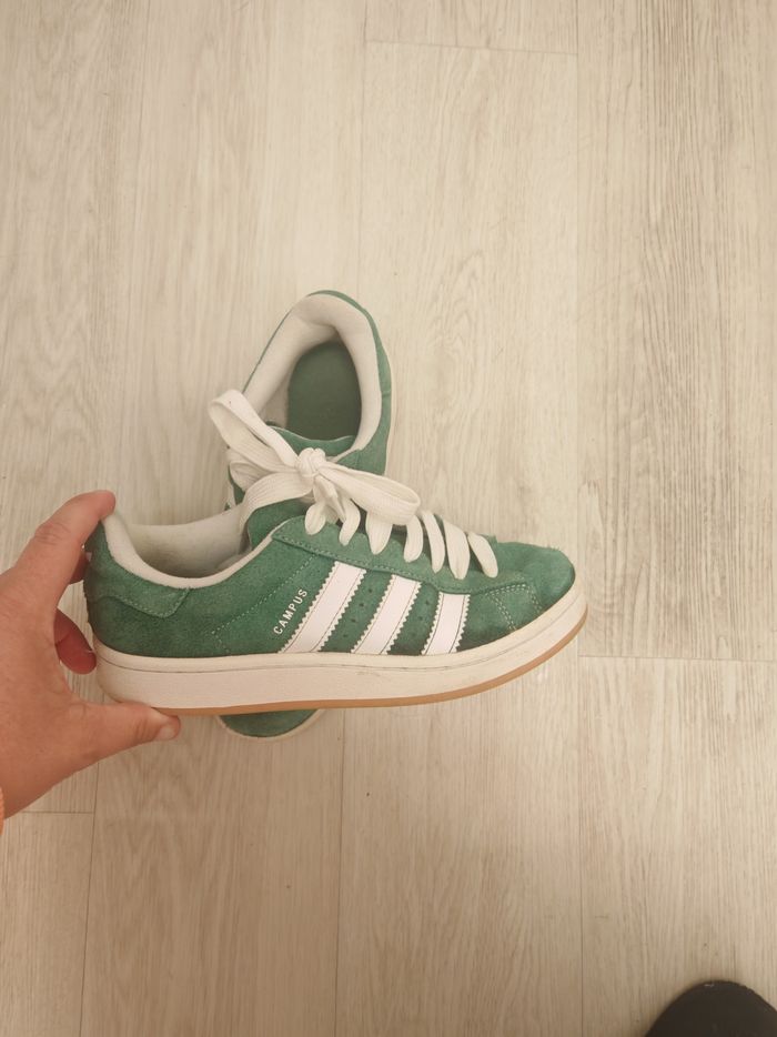 Gazelle verte T38 - photo numéro 6