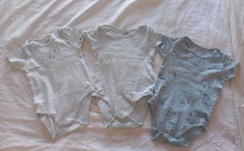 Lot 3 bodies 24 mois