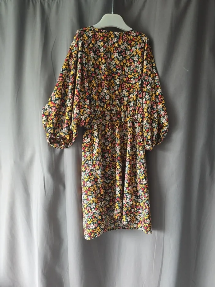 Robe à manches