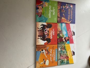 Lot de livres éducatifs 