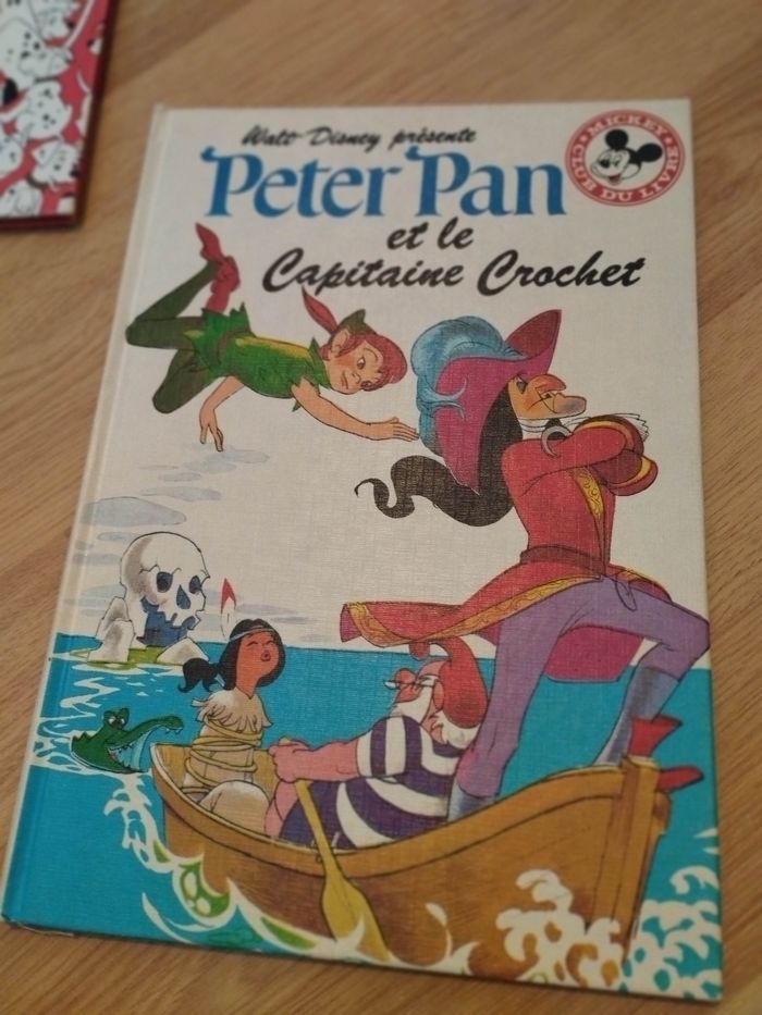 Lot Livres enfant Disney - photo numéro 4