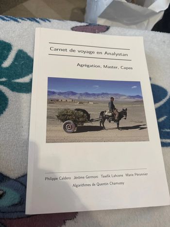 Carnet de voyage en analystan