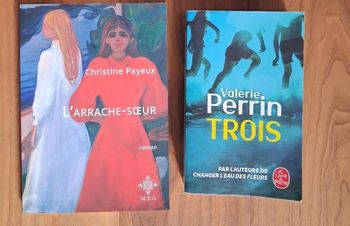 Lot 2 romans dont 1 de Valérie Perrin 