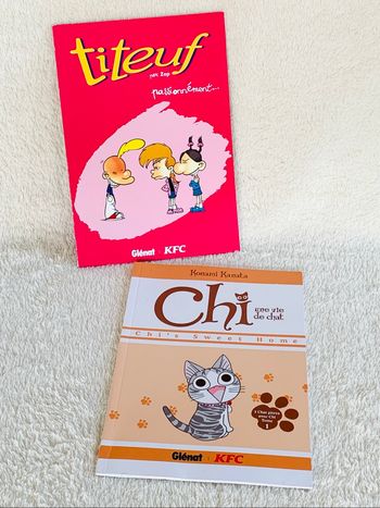 Lot 2 livres BD KFC