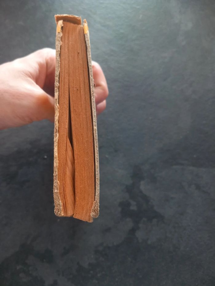 L'histoire d'une toute petite fille - photo numéro 6