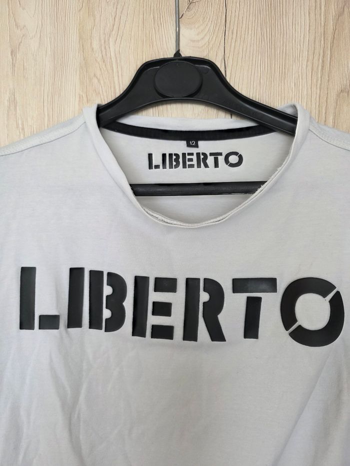 TEE-SHIRT GARÇON MANCHE LONGUE LIBERTO TAILLE 12ANS - photo numéro 2