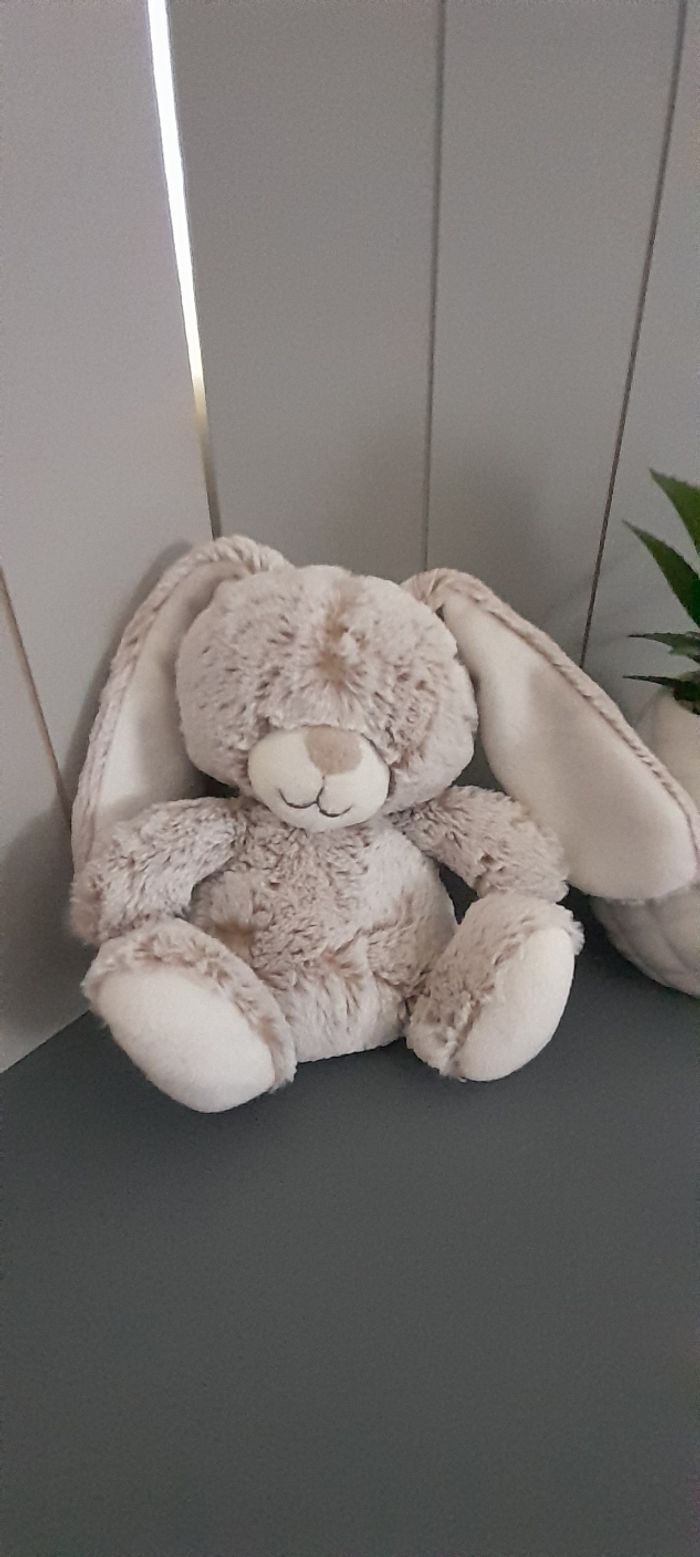Lapin Tex baby - photo numéro 3
