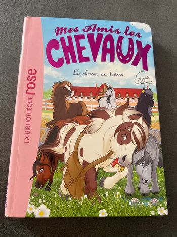 Livre bibliothèque rose mes amis les chevaux tome 39