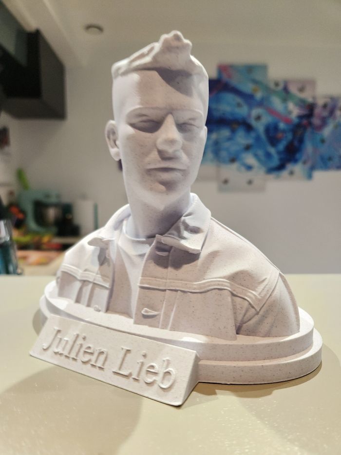 🎶 Star Académie – Julien Lieb – Buste collector – Figurine décorative