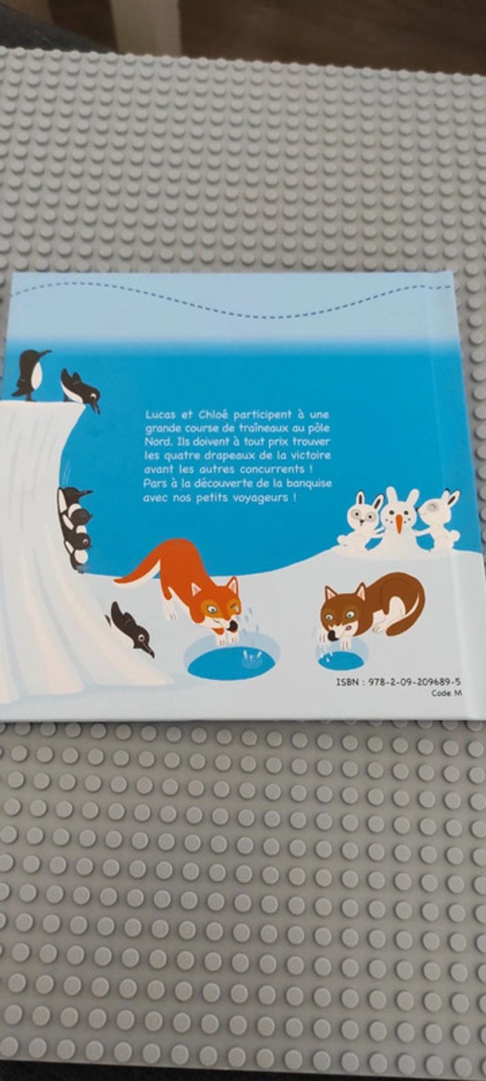 la course sur la banquise - photo numéro 2