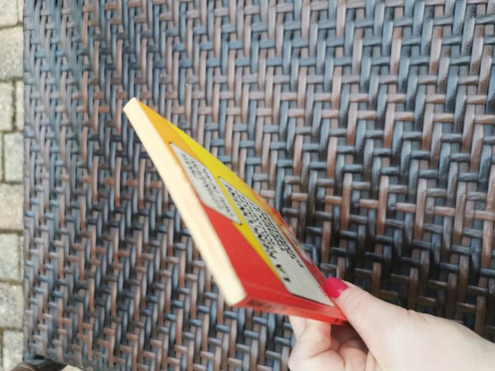 La rencontre dans l'univers romanesque. Profil littéraire oral du Bac - photo numéro 4