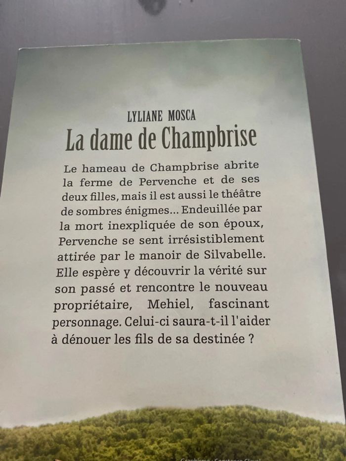 La dame de Champbrise - photo numéro 2
